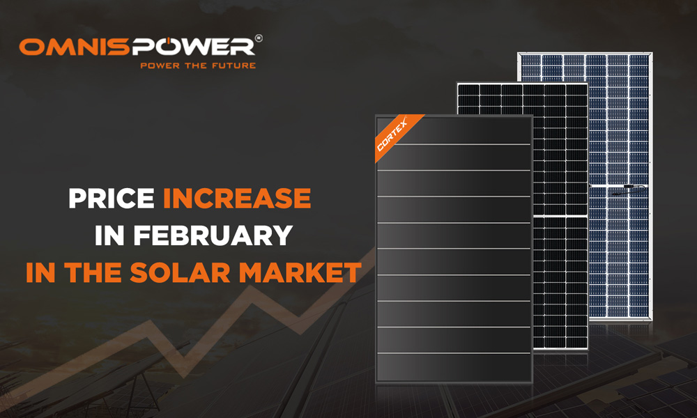 Price Increase for PV Modules in February: What to Expect in the Solar Market?