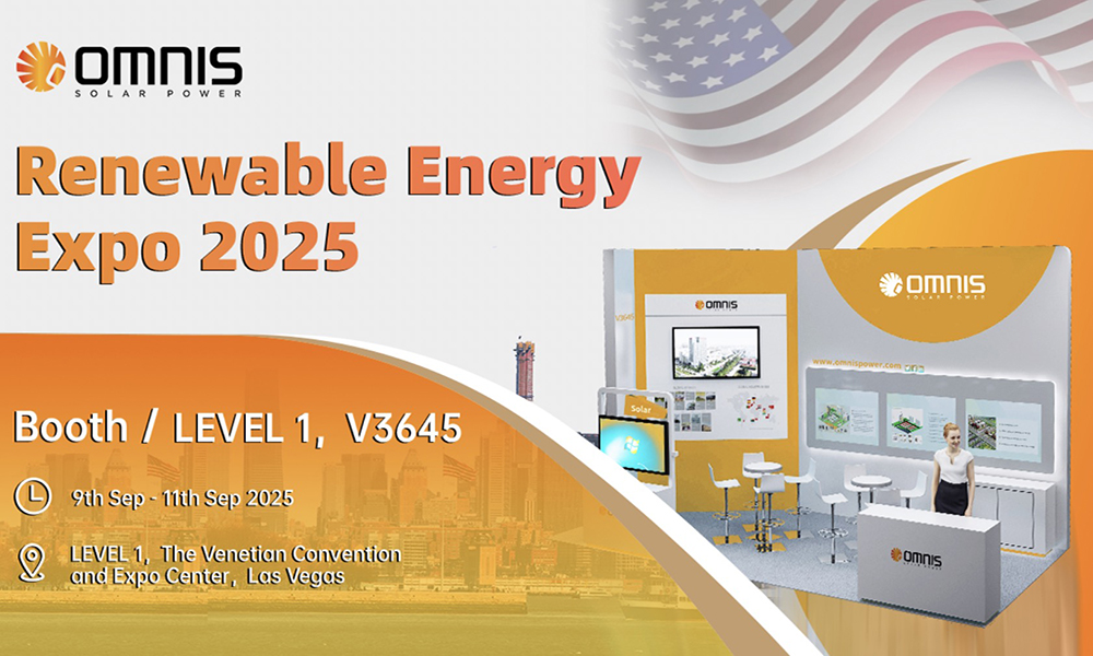 Renewable Energy Exp0 2025